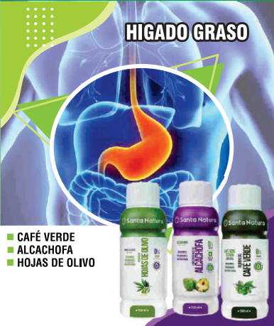 Hígado Graso
