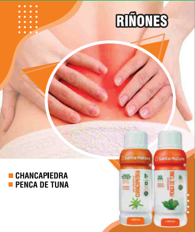Riñones